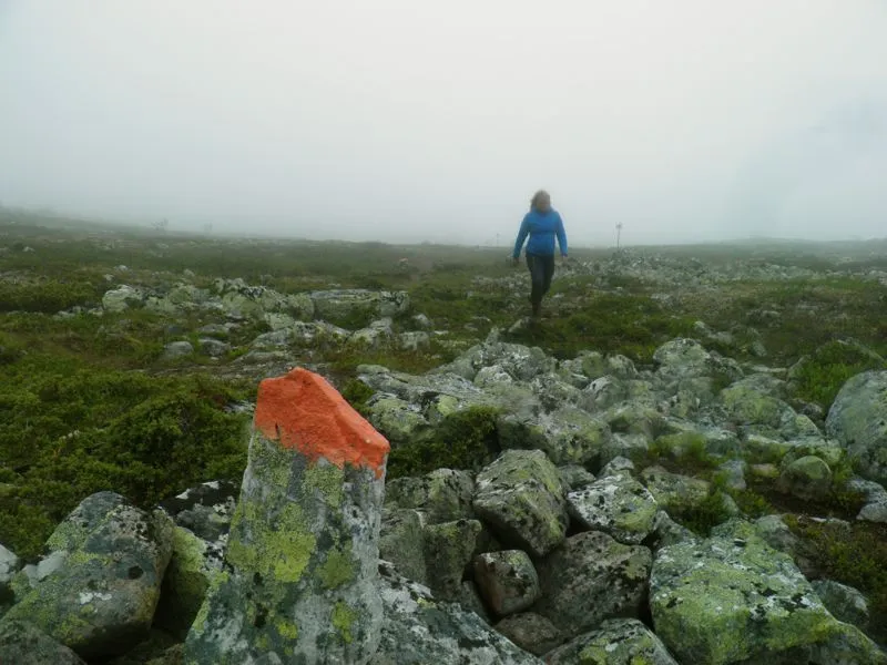 Klicka för att förstora