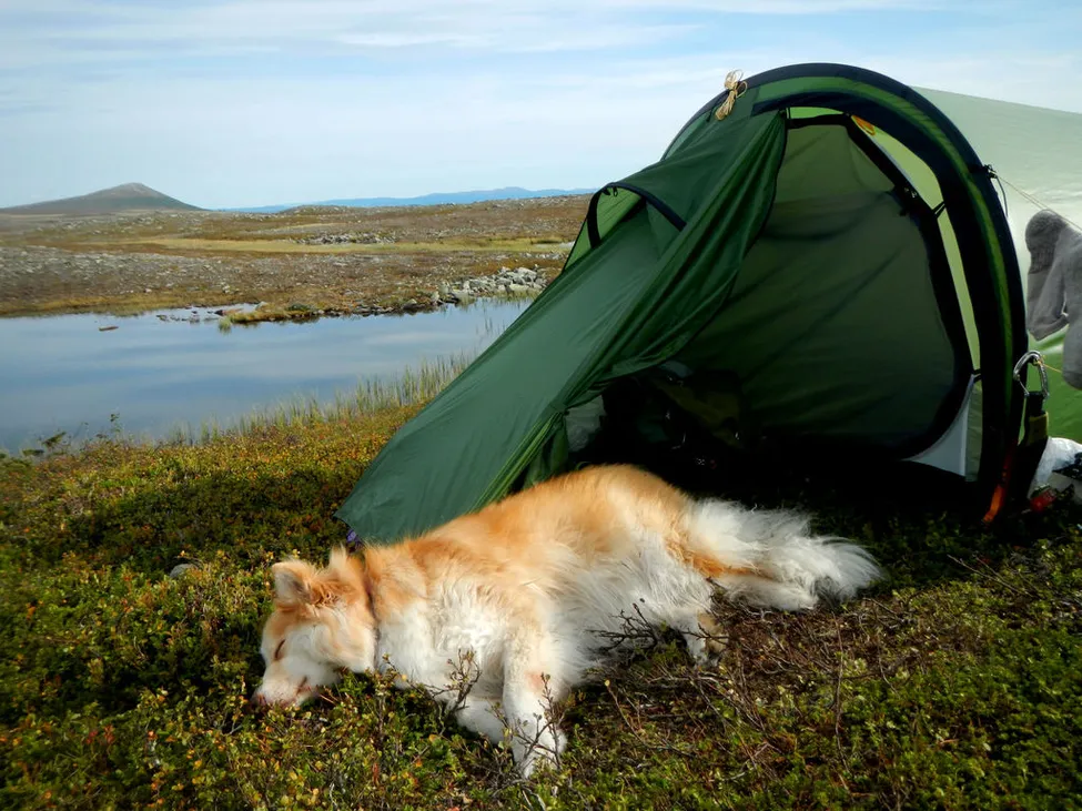 Klicka för att förstora