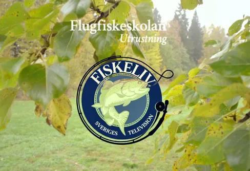Fiskeliv och flugfiskeskola på Svt