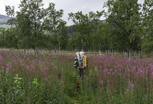 Regn, kyla och hård vind.