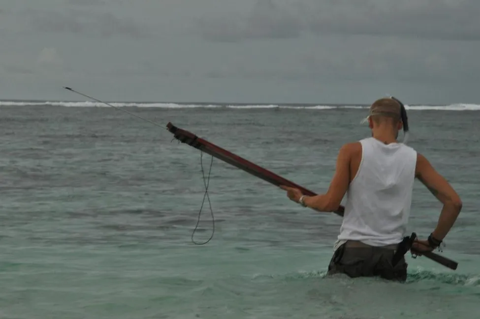 Klicka för att förstora