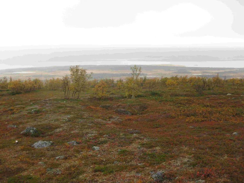 Klicka för att förstora