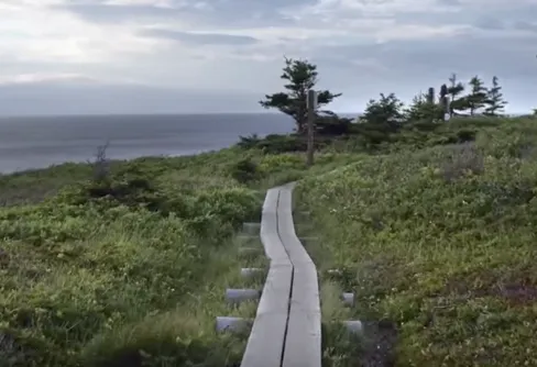 Världens längsta vandringsled invigd - 2400 mil lång