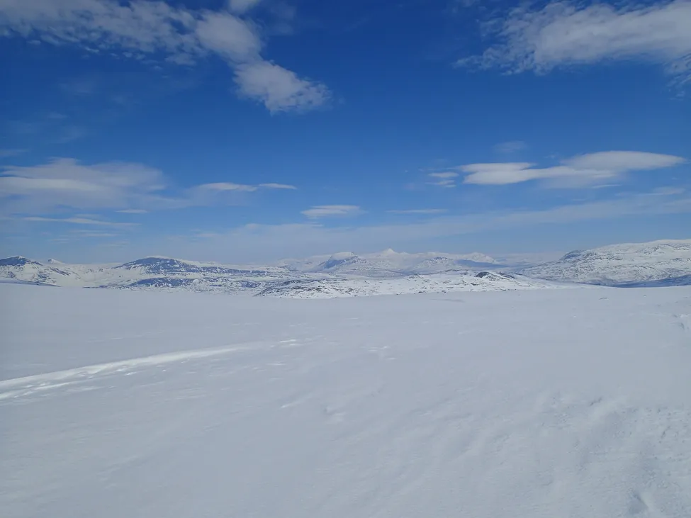 Klicka för att förstora