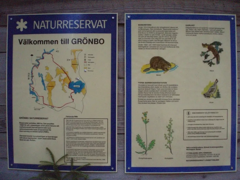 Klicka för att förstora