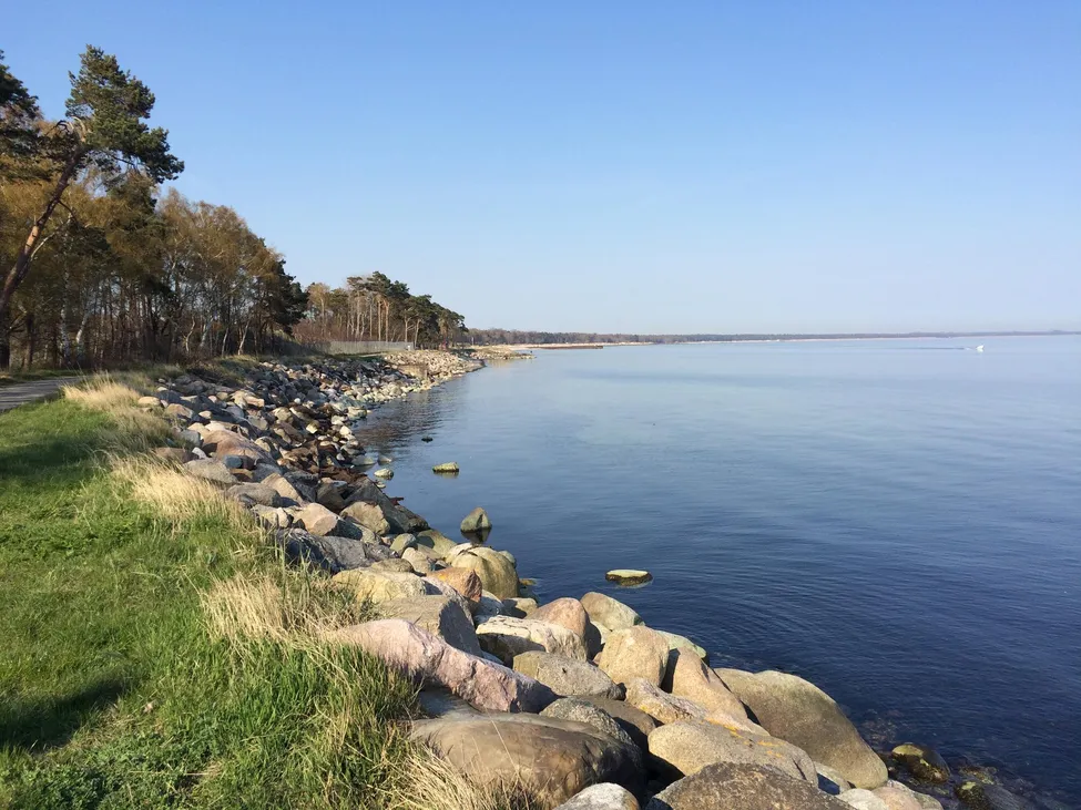 Klicka för att förstora