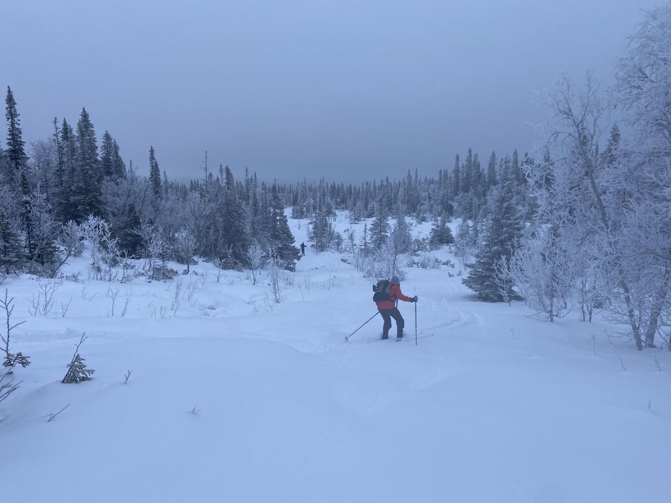 Klicka för att förstora
