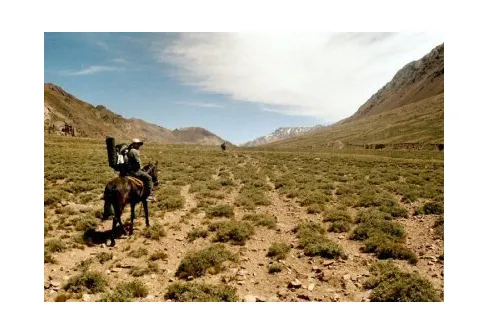 Expeditionsredogörelse: Aconcagua