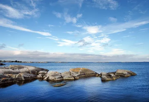 Väck liv i Östersjön