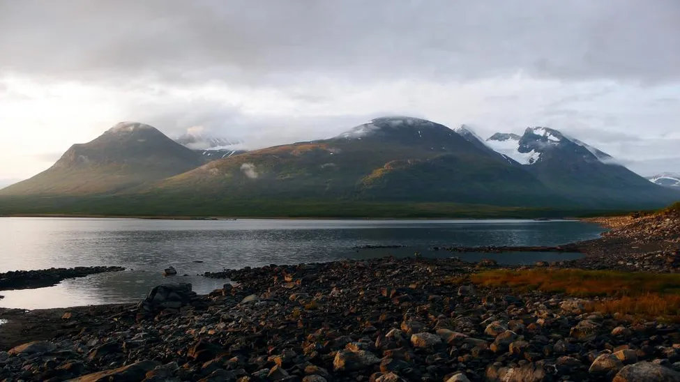 Klicka för att förstora