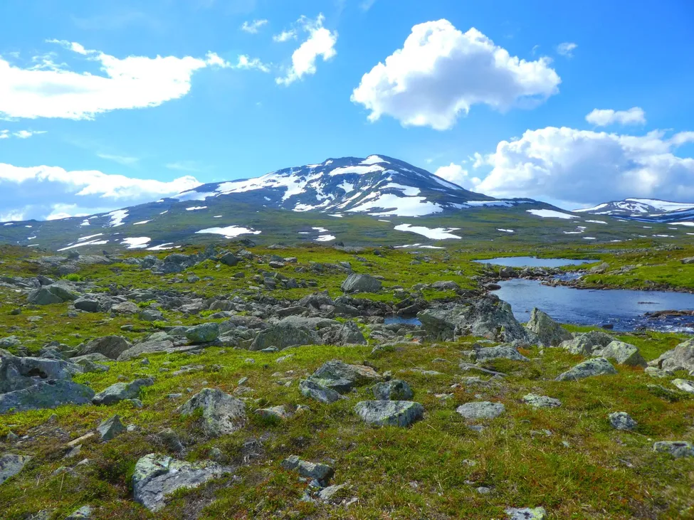 Klicka för att förstora