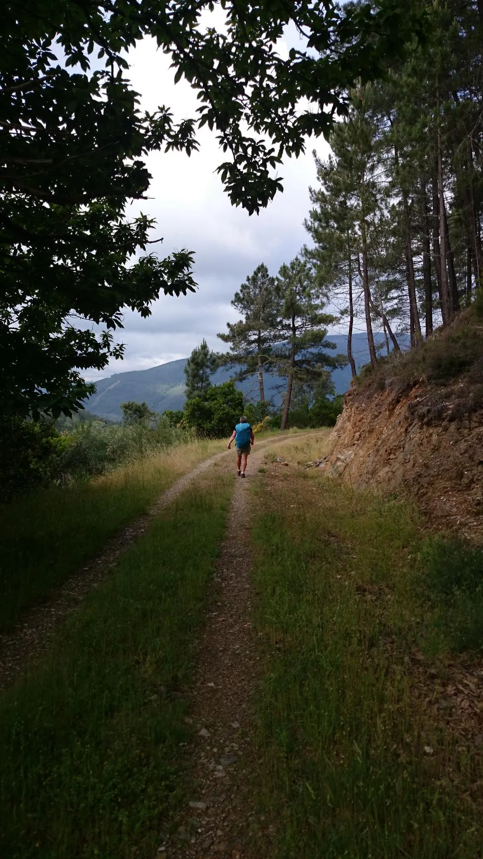 Klicka för att förstora