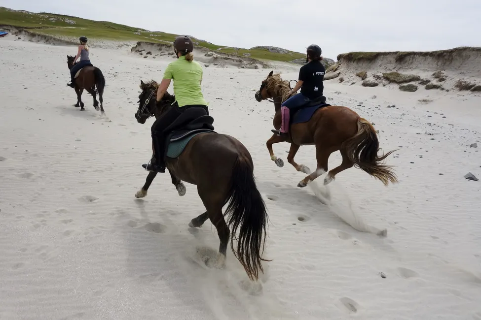 Klicka för att förstora