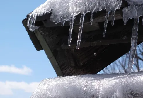 Ljusets återkomst - Snart är vårvinter här!