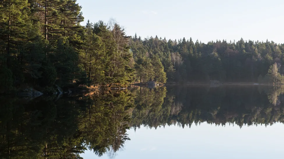Klicka för att förstora