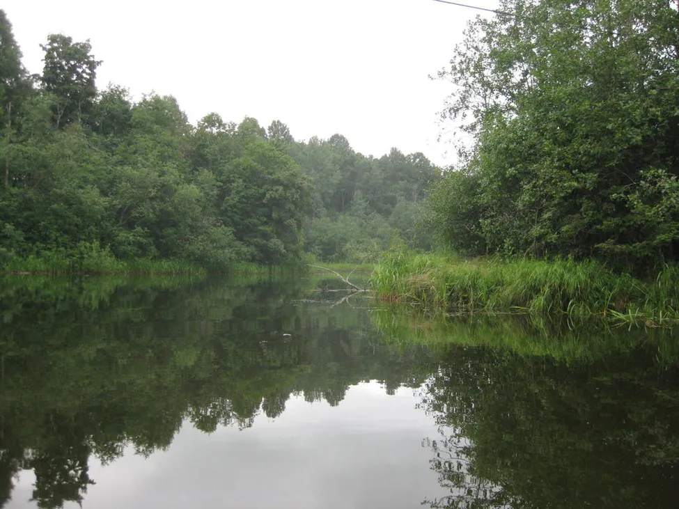 Klicka för att förstora