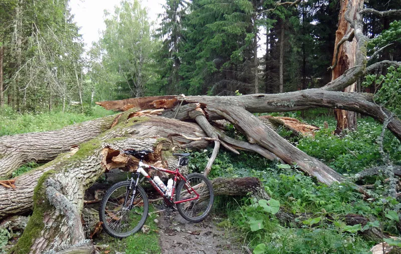 Klicka för att förstora