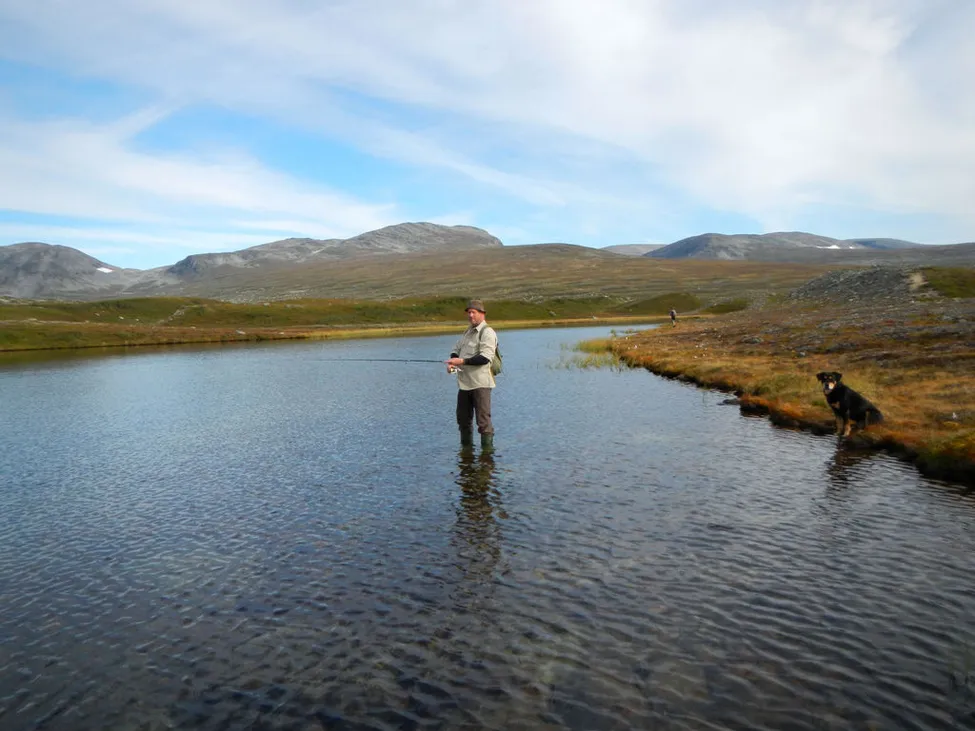 Klicka för att förstora