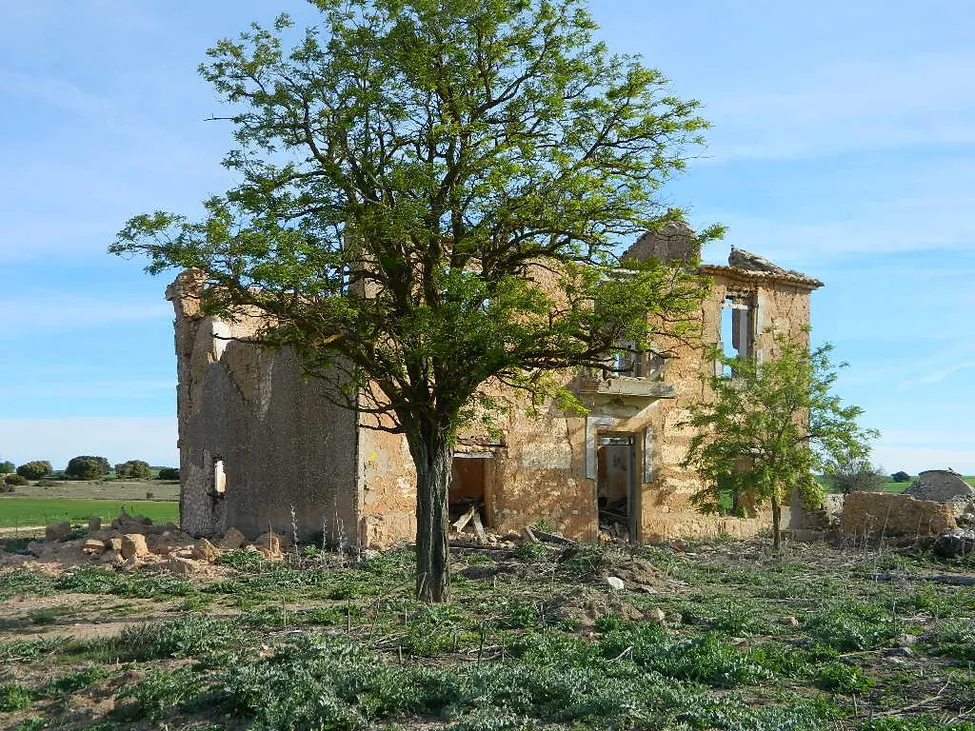 Klicka för att förstora