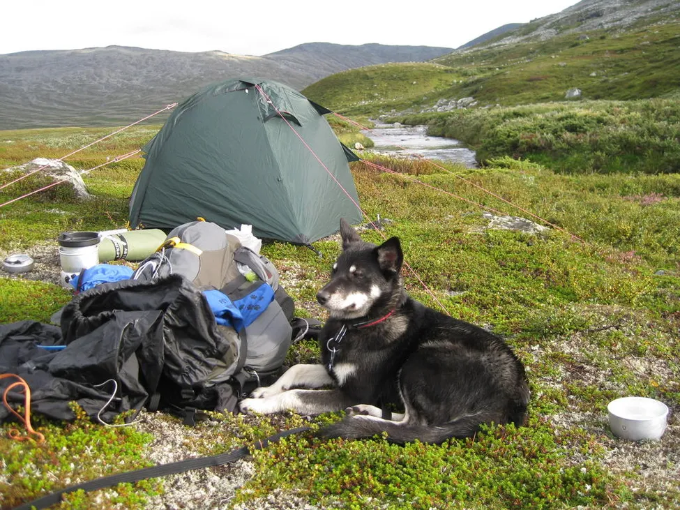 Klicka för att förstora