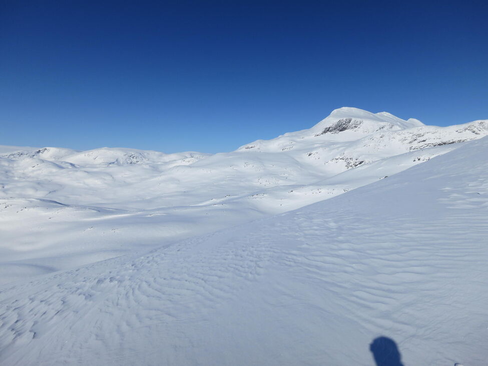 Klicka för att förstora