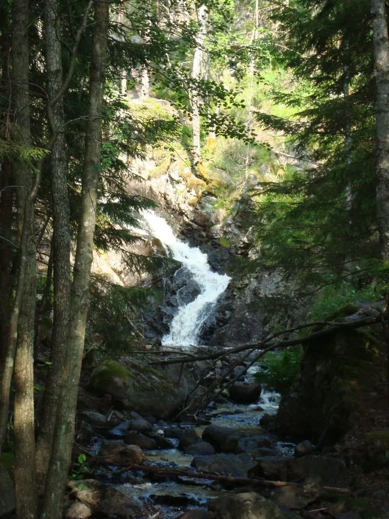 Klicka för att förstora