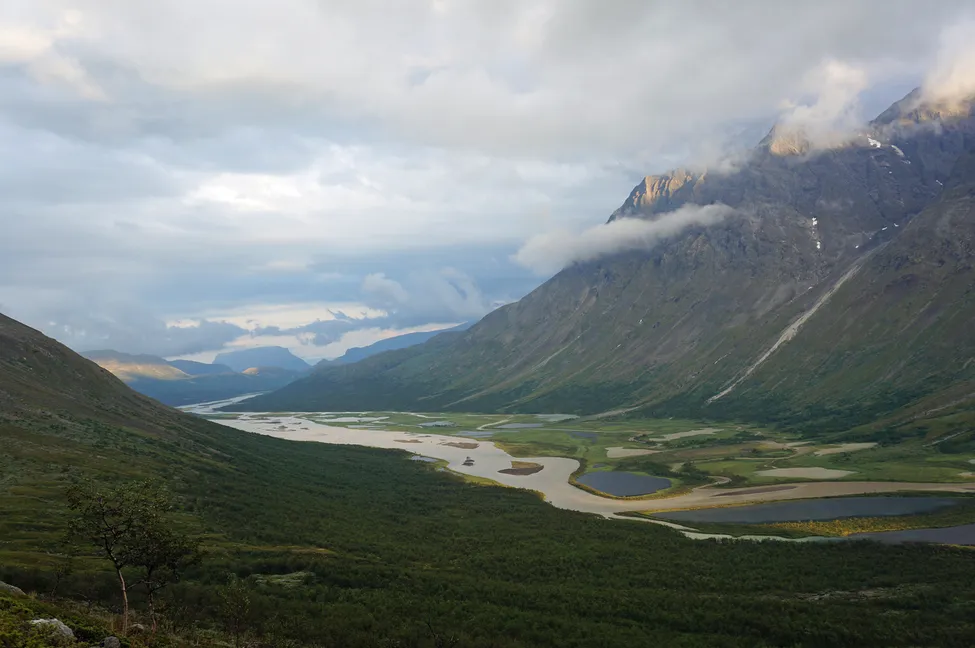 Klicka för att förstora