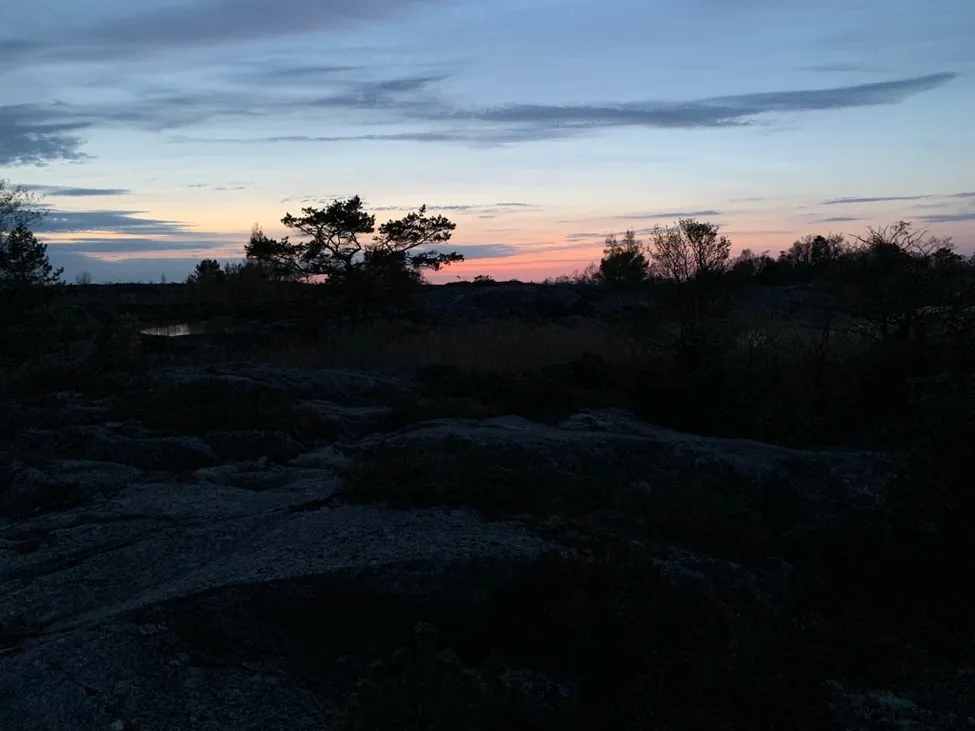 Klicka för att förstora