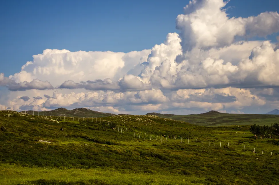 Klicka för att förstora