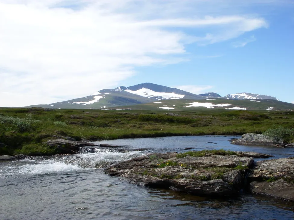 Klicka för att förstora