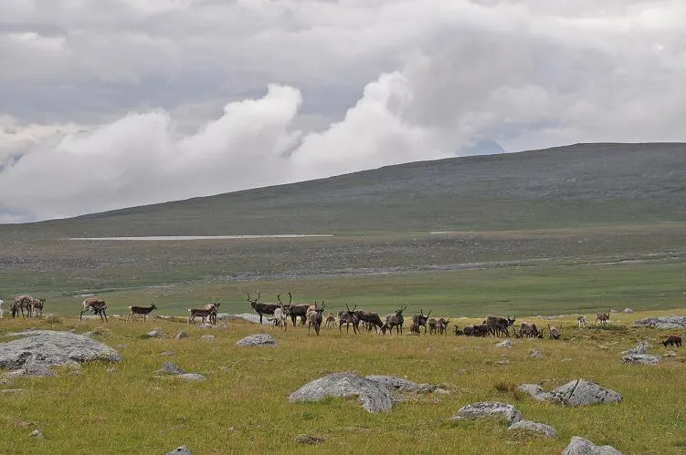 Klicka för att förstora