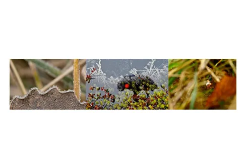 Vinnarna i fototävlingen 