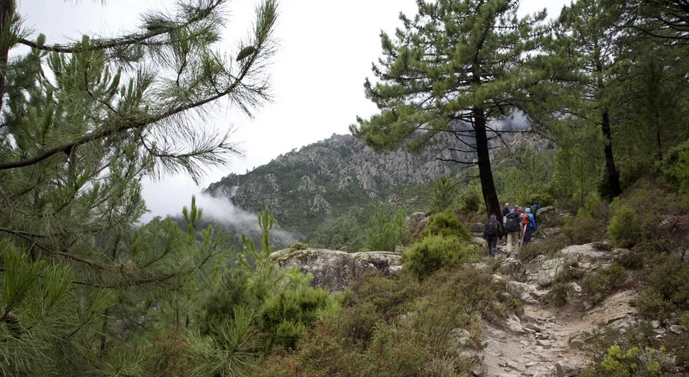 Klicka för att förstora