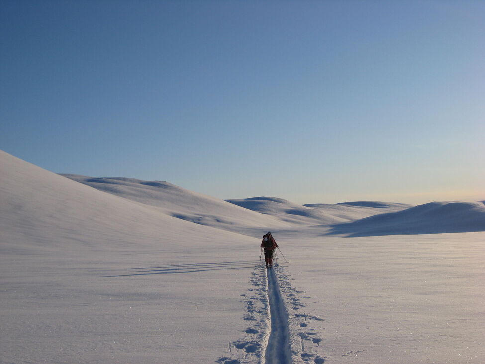 Klicka för att förstora