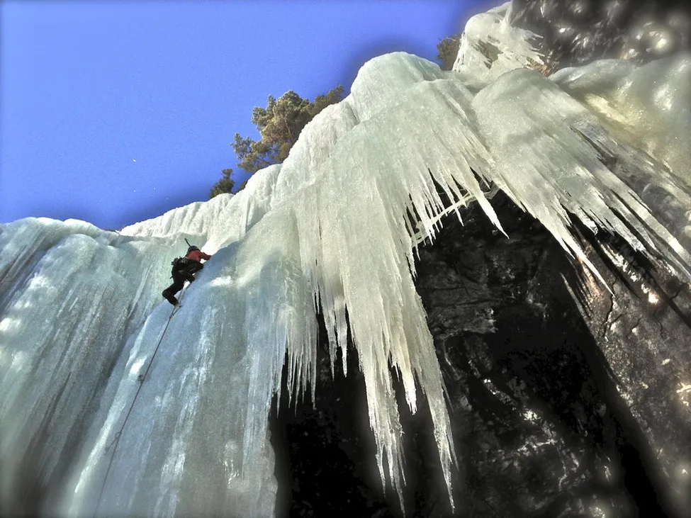 Klicka för att förstora