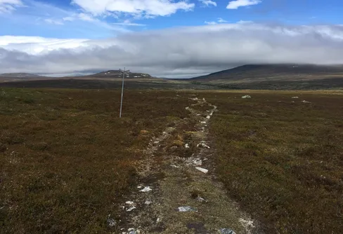 Fler fjällsmultrontips!