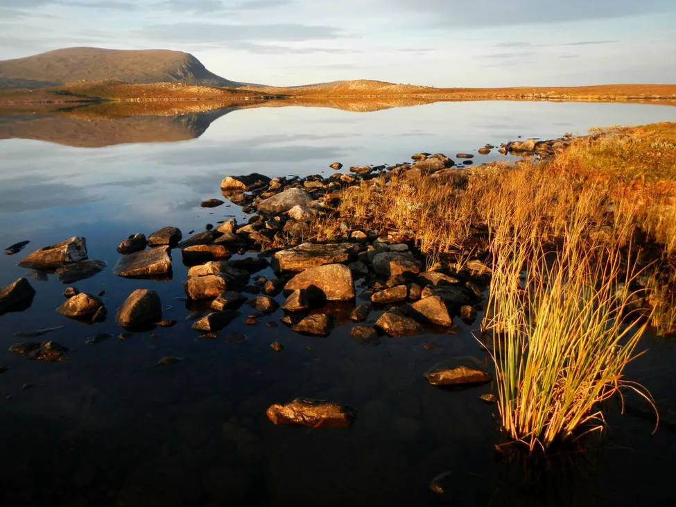 Klicka för att förstora