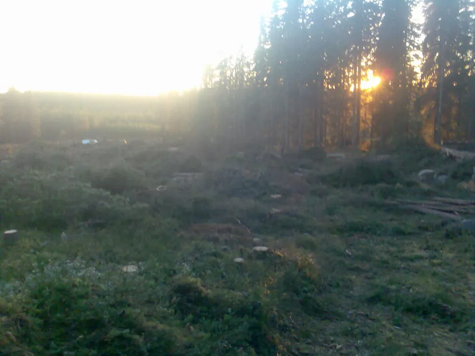 Klicka för att förstora