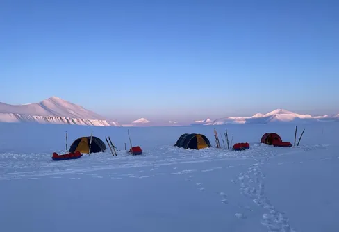 60 mil i isbjörnens rike: En resa på naturens villkor