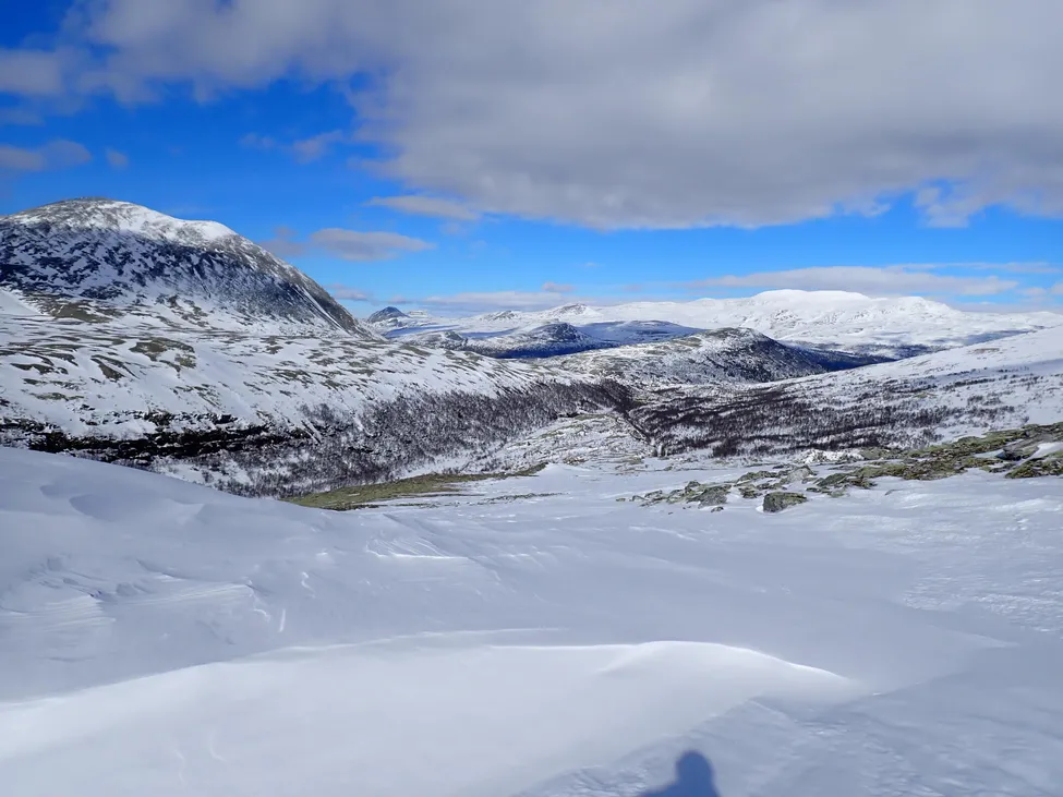 Klicka för att förstora