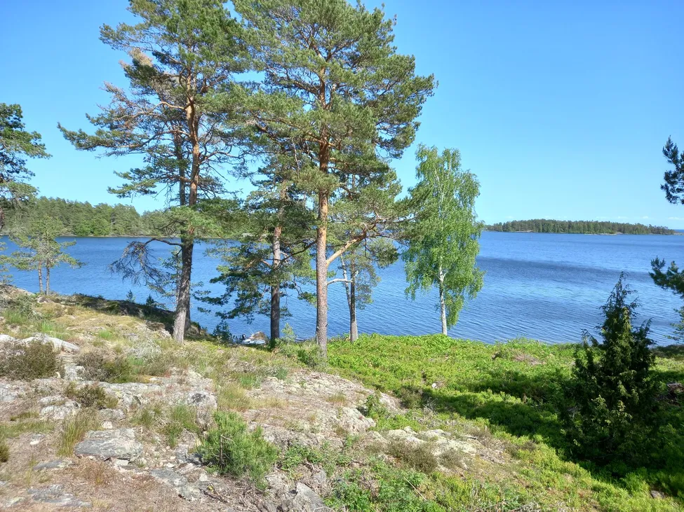Klicka för att förstora