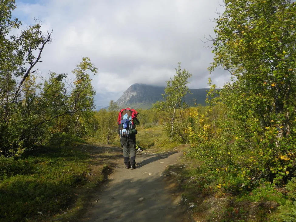 Klicka för att förstora