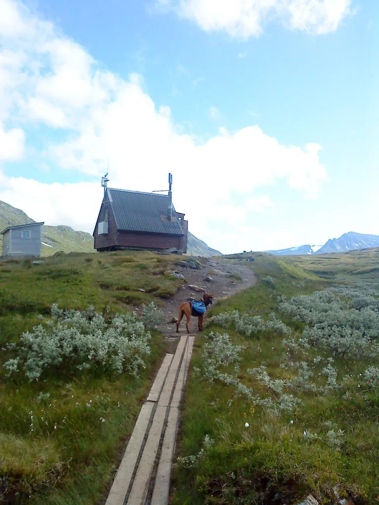 Klicka för att förstora