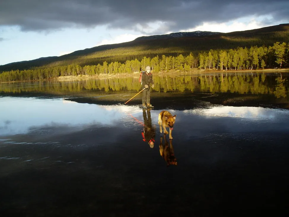 Klicka för att förstora