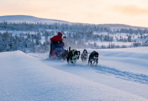 Nytt rekord för Lina Hallebratt
