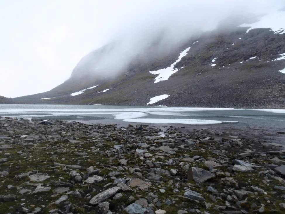 Klicka för att förstora