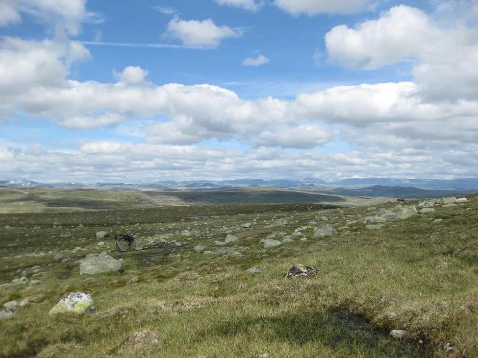 Klicka för att förstora