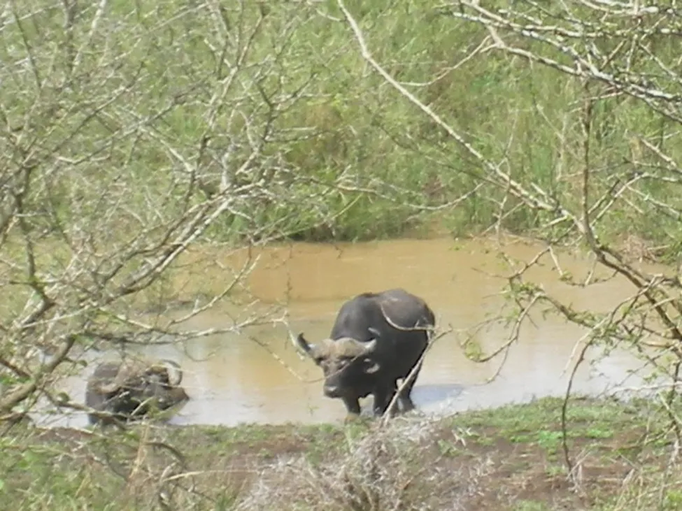 Klicka för att förstora