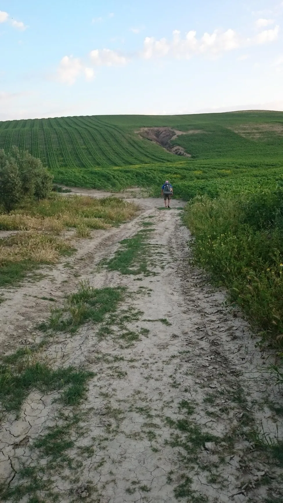 Klicka för att förstora