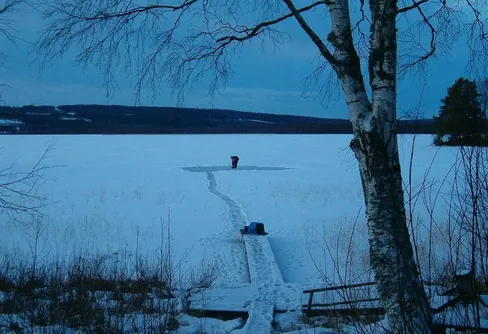 Familjen Bambi på hal is